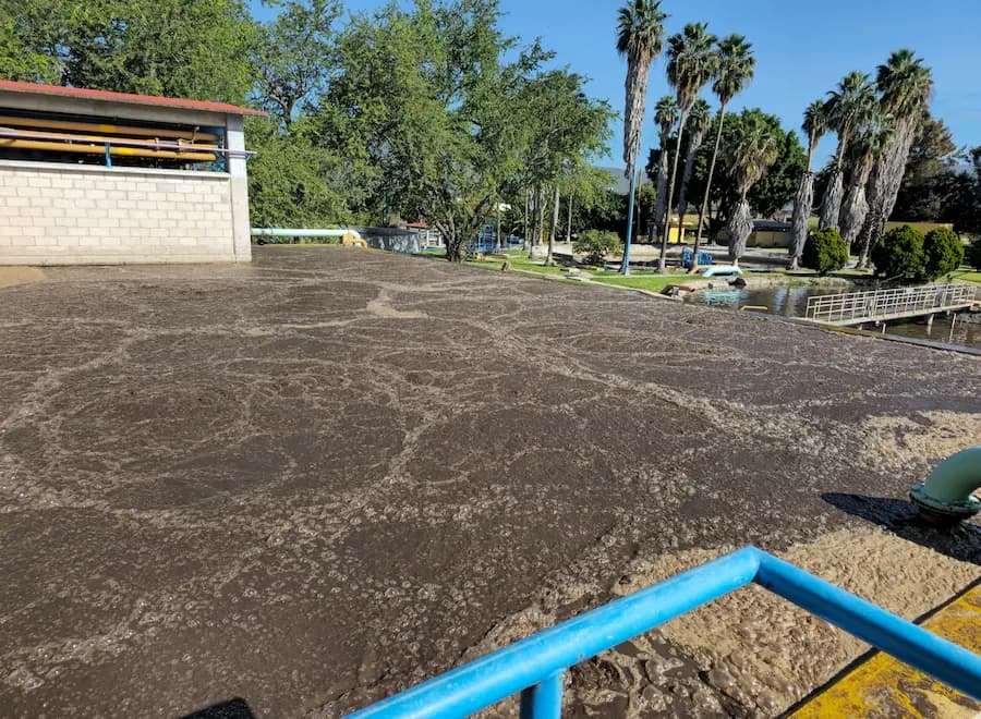 Estabilización Biológica — proceso de rehabilitación PTAR